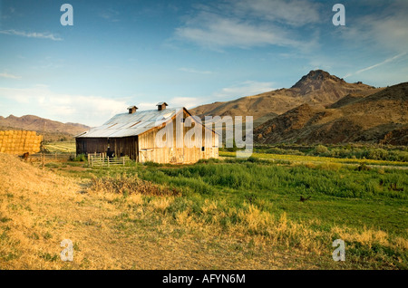 Tramonto su un girasole farm barn annidata in una valle, ruggine colline colorate, soft mattina il sorgere del sole, cavalli mangia fieno Foto Stock