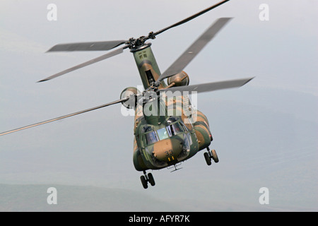 Boeing CH-47 elicottero Chinook del Giappone terra Self Defence Force Foto Stock