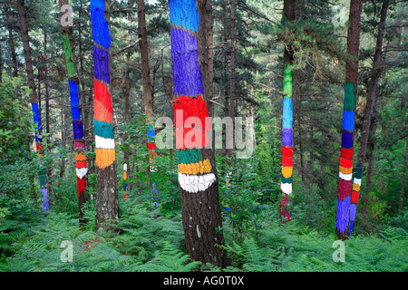 Bosque pintado de Oma pineta con tronchi dipinti Kortezubi Vizcaya Paesi baschi Europa Foto Stock