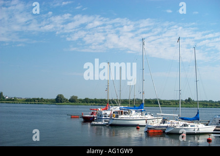 Marina, fiume Warnow, Rostock Germania Foto Stock