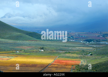 Hex River Valley in autunno Foto Stock