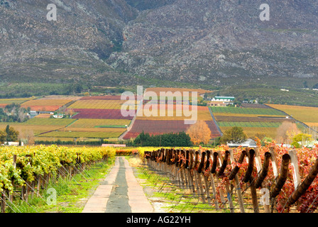 Hex River Valley in autunno Foto Stock