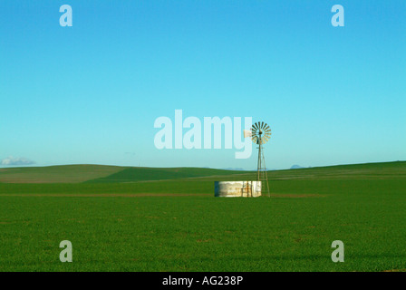 Un mulino a vento solitario in piedi in un campo di verde Foto Stock