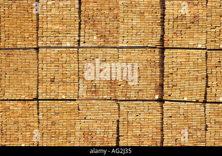 Pile di nuovo legname dimensionale da segheria Smithers Columbia britannica Foto Stock