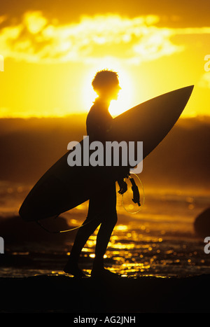 Silhouette di surfer che trasportano le tavole da surf lungo la spiaggia, vista laterale Foto Stock