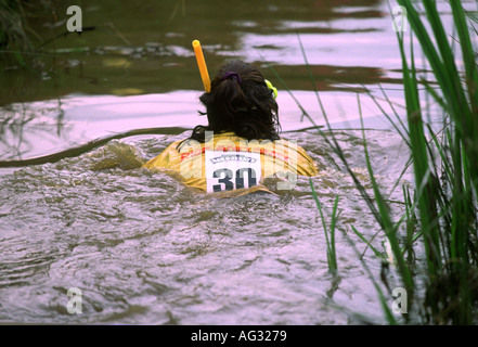 Uomo in bog snorkelling campionato, Wales, Regno Unito Foto Stock