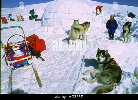 Costruzione di un igloo sul MONT BLANC Foto Stock