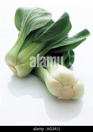 Pak choi su sfondo bianco Foto Stock