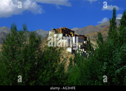 Thicksey Gompa nei pressi di Leh come visto dalla valle di Indus, Ladakh India del nord Foto Stock