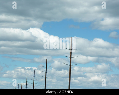 Pali del telefono Foto Stock