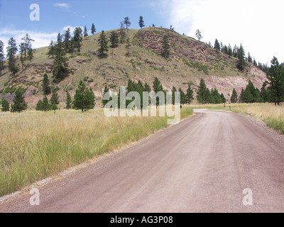 Strada sterrata nel West Americano Foto Stock