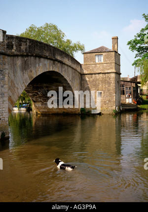 Lechlade Gloucestershire Hapenny ponte sopra il fiume Tamigi Foto Stock