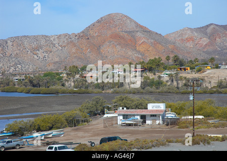 Muleje Baja California Messico Foto Stock