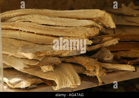 Mucchio di pesci bacalhau di merluzzo salato ed essiccato in Portogallo Foto Stock