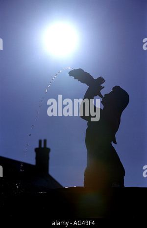 Una fontana ornamento in silhouette in villaggio Poundbury nel Dorset England Regno Unito Foto Stock