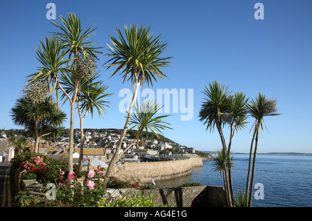 Mousehole harbour con alberi di palma in primo piano. Foto Stock