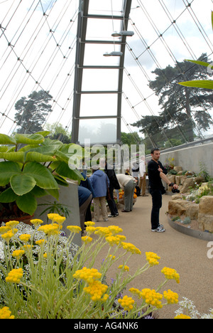 All'interno di Davies Casa Alpina nuova glasshouse aperto nel Marzo 2006 Royal Botanic Gardens di Kew Richmond Surrey in Inghilterra La Gran Bretagna UK Europa Foto Stock