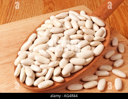 ALUBIA fagioli fagioli cannellini Foto Stock