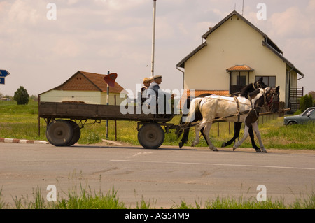 Marcatore di agricoltori a nord di Novi Sad in Serbia. Foto Stock