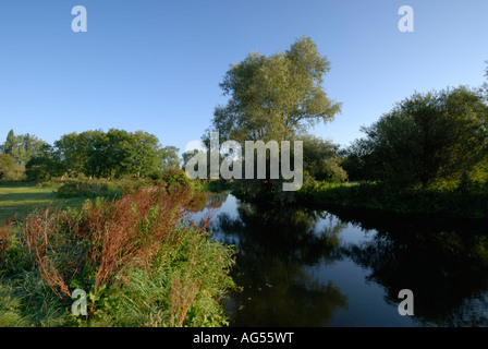 Grantchester Meadows e il fiume Cam, Inghilterra Cambridge Regno Unito Foto Stock