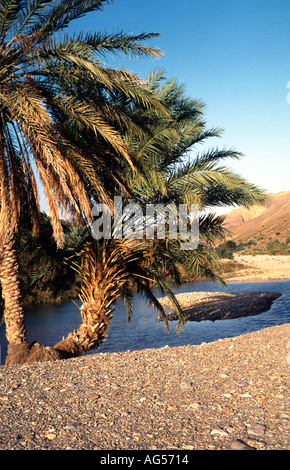 Palm Rock Pool In Sharqiya In Oman Foto Stock