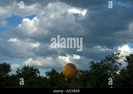 Giant Peach Water Tower Gaffney nella Carolina del Sud Foto Stock