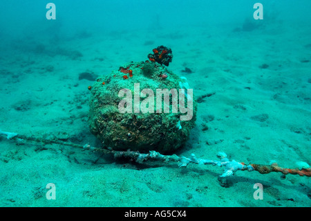 Palla di cannone sul naufragio sirius sito Foto Stock