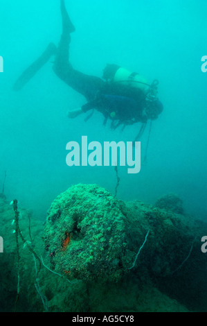 Scubadiver sul naufragio del Sirius Foto Stock