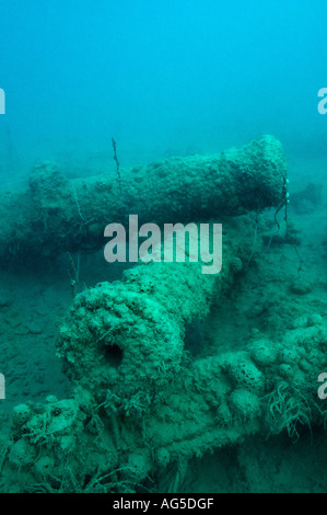 Due cannoni antichi sul naufragio del Sirius Foto Stock