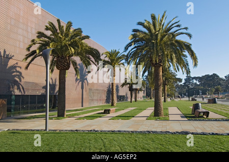 California San Francisco Golden Gate Park il nuovo Museo di de Young esterno palme Foto Stock