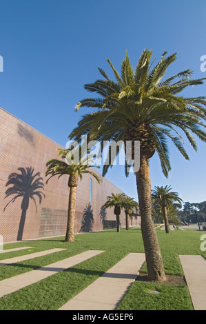 California San Francisco Golden Gate Park il nuovo Museo di de Young esterno palme Foto Stock
