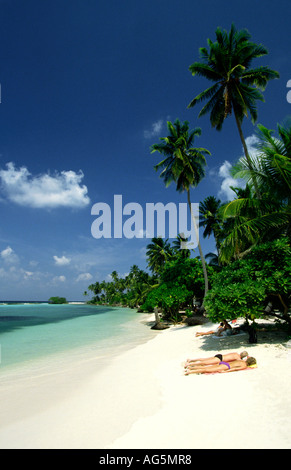 Maldive Kuredu resort turisti su quasi vuoto spiaggia orlata di palme Foto Stock