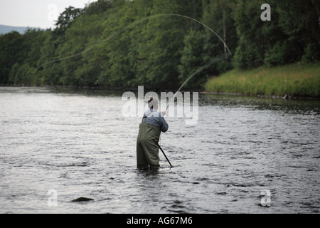 Salmone scozzese la pesca  pescatore in waders guadare il fiume Spey, Speyside, il castello di concedere beat, Scotland Regno Unito Foto Stock