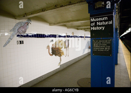 Vista della 81st Street Museo di Storia naturale della stazione della metropolitana di New York City USA Marzo 2006 Foto Stock