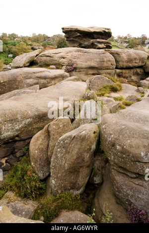 Regno Unito Yorkshire Nidderdale ponte Pateley Brimham Rocks Foto Stock
