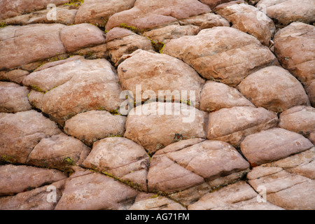 Lungo il calicò serbatoi Trail Red Rock Canyon a Las Vegas Nevada Foto Stock