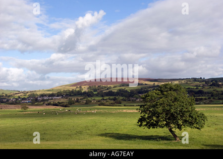 Campagna da Leeds Liverpool Canal vicino Foulridge Foto Stock