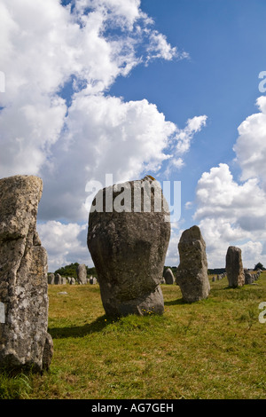Pietra permanente alignements (l'Alignements de Kermario), Carnac, Morbihan, in Bretagna, Francia Foto Stock