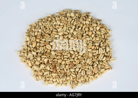 I chicchi di caffè India Monsooned Malabar materie Coffea arabica Foto Stock