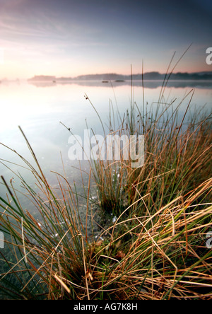 Quiete Foto Stock