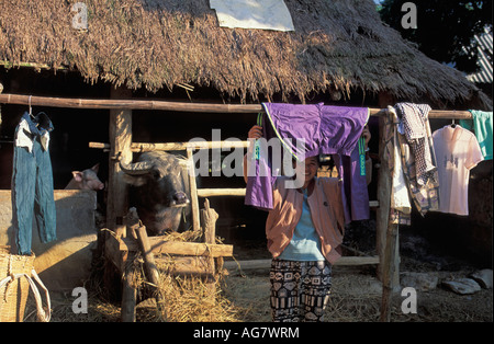 Il Vietnam Mai Chau: donna abiti di essiccazione con buffalo in background Foto Stock