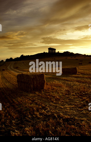 Haystacks vicino Penshaw monumento in autunno Foto Stock