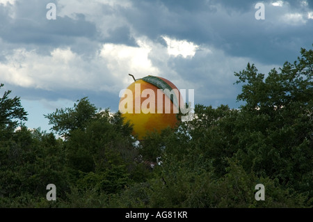 Giant Peach Water Tower Gaffney nella Carolina del Sud Foto Stock