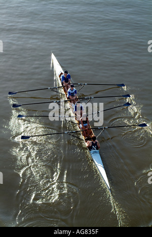 Skulling sul Fiume Brisbane Foto Stock