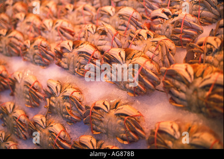 Granchi per la vendita al mercato del pesce Foto Stock