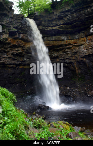 Forza Hardraw nel Yorkshire Dales è una cascata sul Hardraw Beck in un burrone boscoso appena al di fuori della frazione di Hardraw Foto Stock