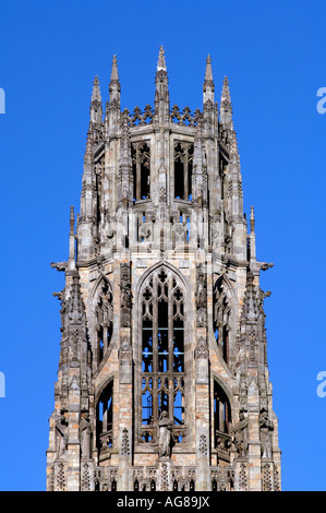 Università di Yale, Harkness Tower. Foto Stock