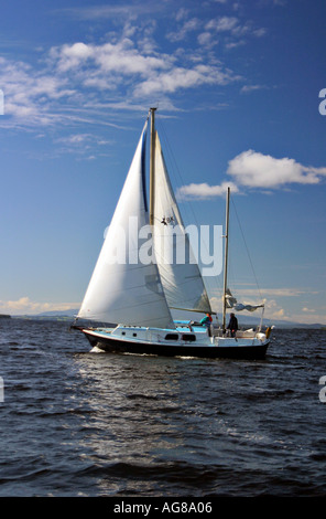 Barca a vela sul Lough Derg Irlanda Foto Stock