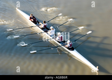 Canottaggio sul fiume Brisbane Brisbane Queensland Australia Foto Stock