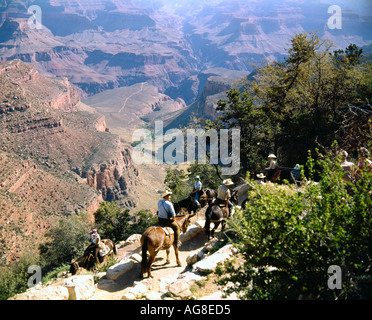 I turisti a dorso di mulo nel Grand Canyon in Arizona USA Foto Stock